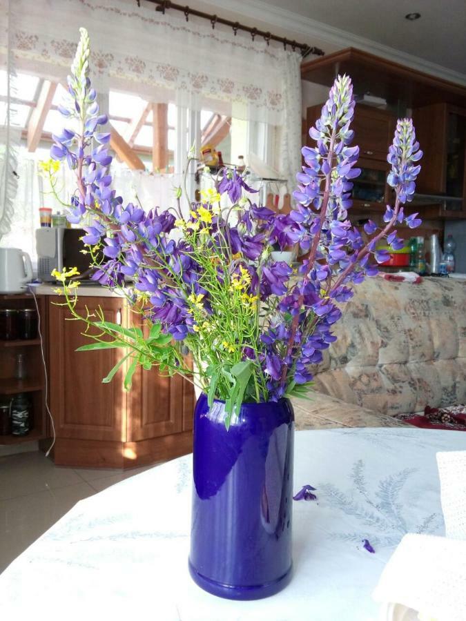 Guest House Samson Vahanec 외부 사진